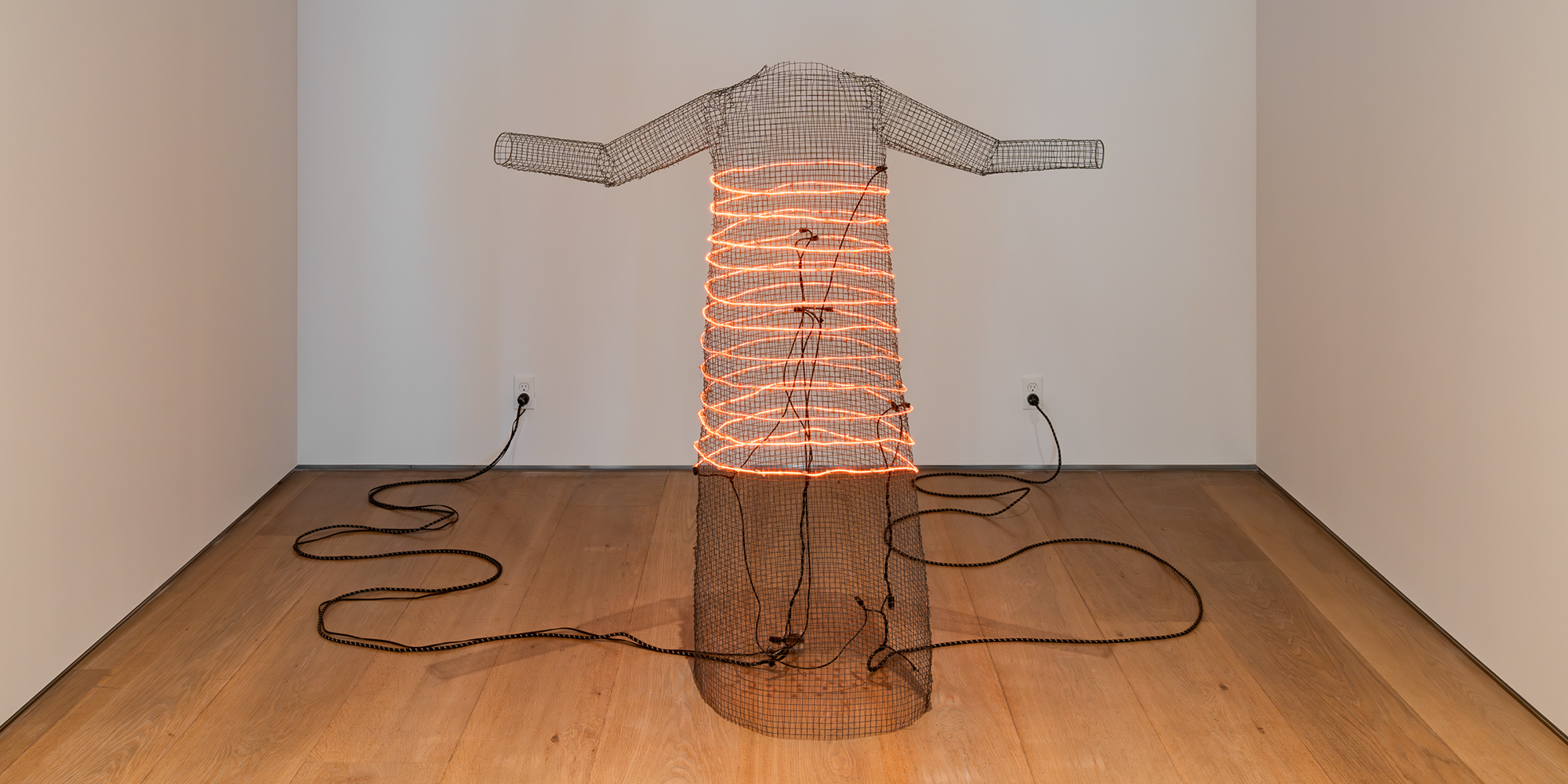 Jana Sterbak, I Want You to Feel the Way I Do… (The Dress), 1984-85.
